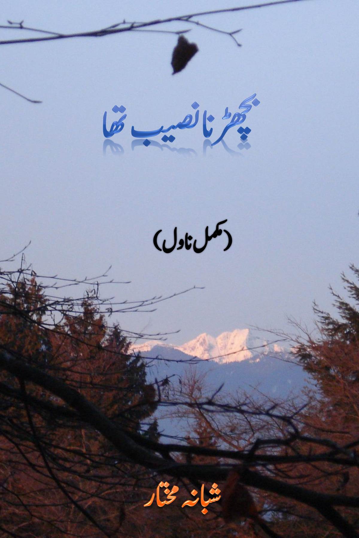 cover2