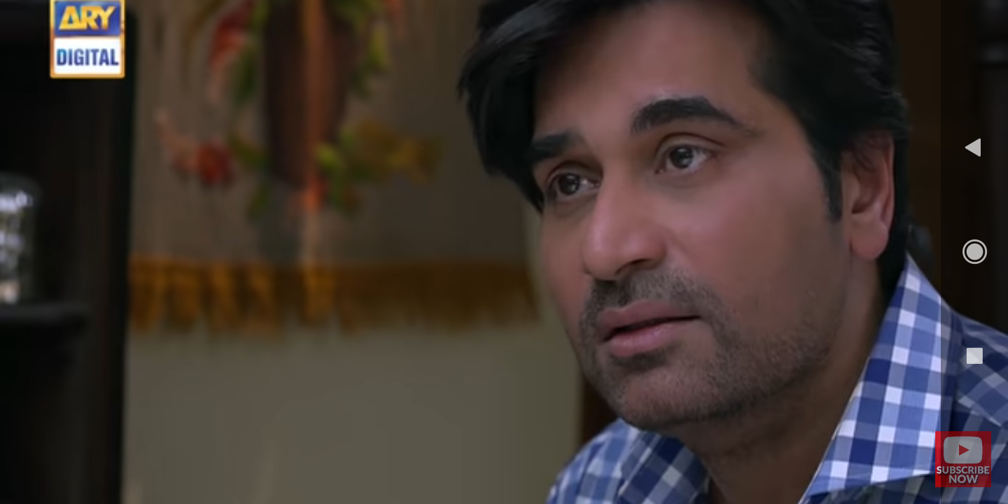 Humayun Saeed as Danish