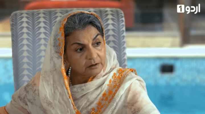 Mere Humdum Mere Dost - Bibi